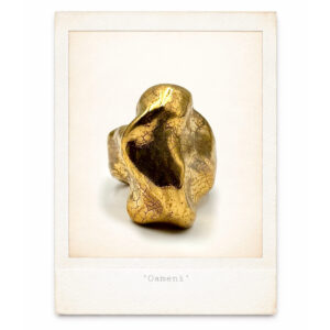 Ceramic Ring "Evolutie" - 19.0 mm